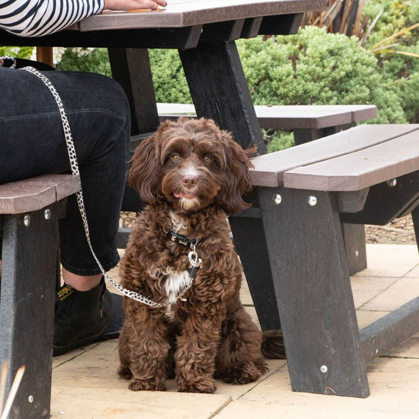 Your local dog friendly pub in Orchardbank ind estate